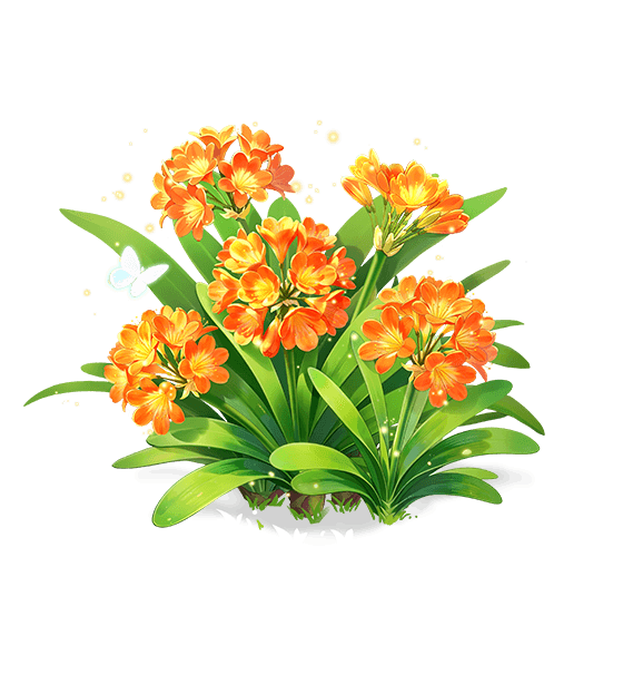 Clivia à lueur flamboyante