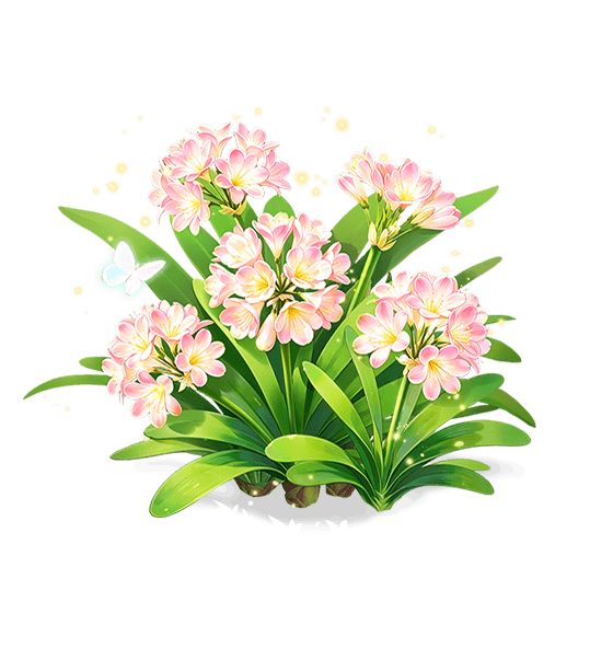Clivia Rougeur de Nuage