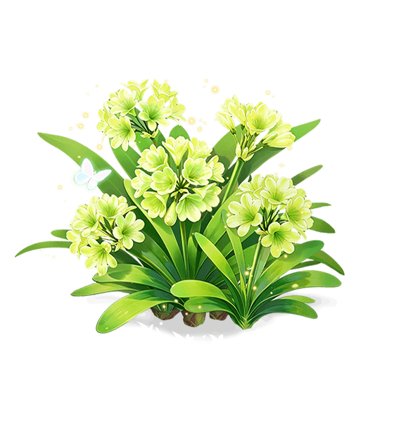 Clivia à brume d'émeraude