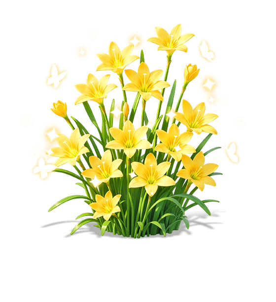 Dawn Rain Lily