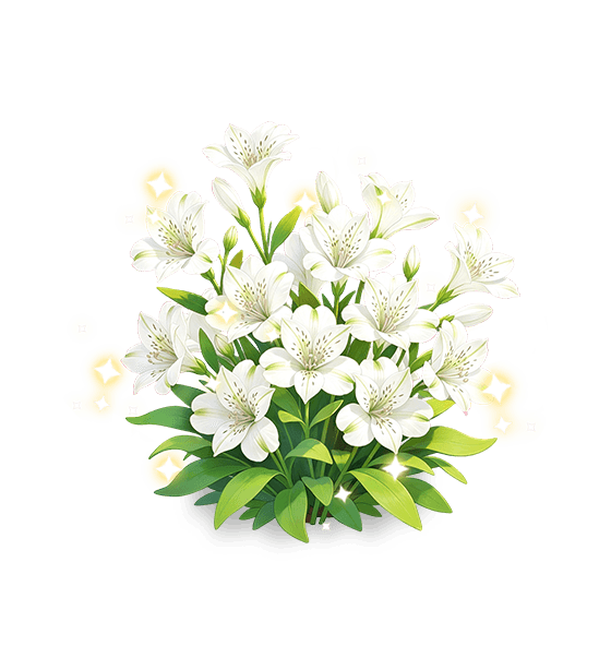 Pure Snow Peruvian-lily
