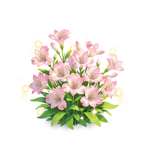 Pink Rouge Peruvian-lily