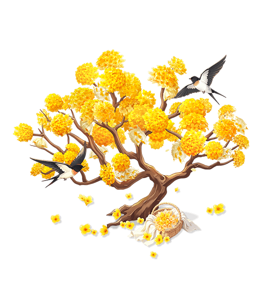 Golden Velvet Paperbush