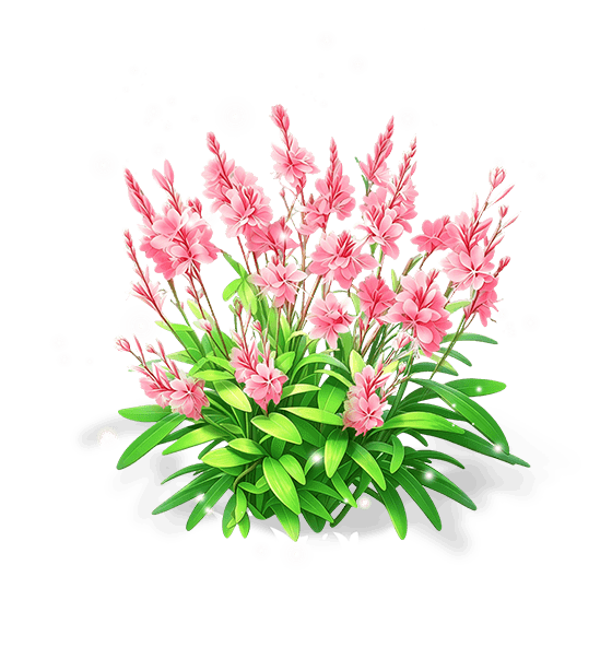 Pink Feather Larkspur