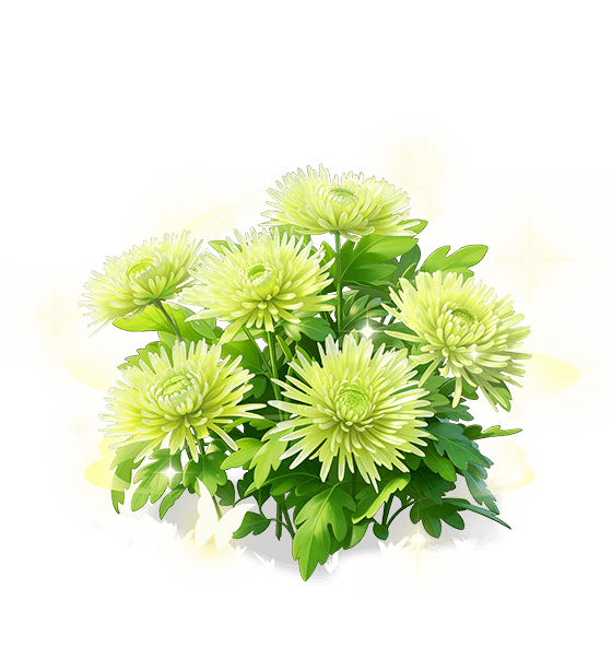 Cyan Chrysanthemum