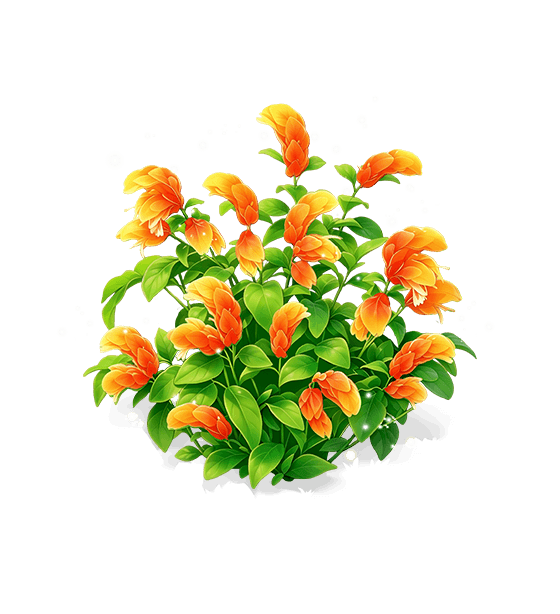 Red Silk Shrimp Plant