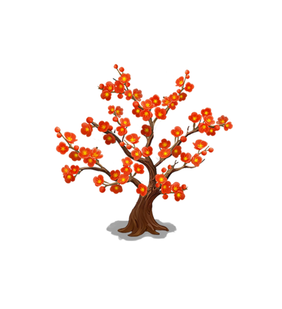 Maroon Wintersweet