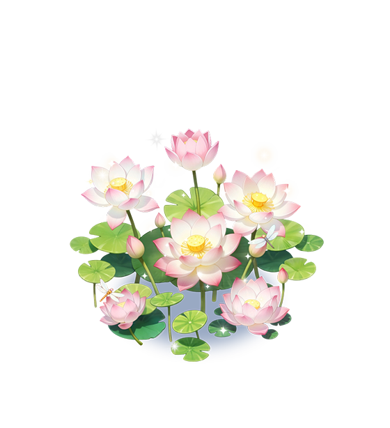 Pink Water lily