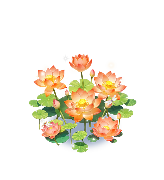 Apricot Lotus