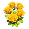 Yellow Rose