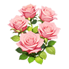 Pink Rose
