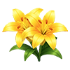 Yellow Lily