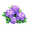 Purple Hydrangea
