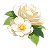 White Camellia
