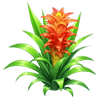Red Pineapple Flower