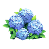 Blue Hydrangea