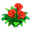 Red Calla Lily