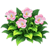 Peach Windbell Flower