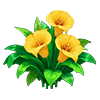 Yellow Calla Lily
