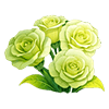 Green Lisianthus