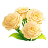 Champagne Lisianthus