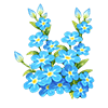 Blue Forget-Me-Not