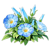 Sky Blue Petunia