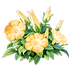 Yellow Petunia