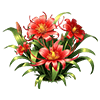 Red Spider Lily