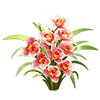 Pink orchid