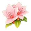 Coral Pink Rhododendron