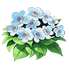 Blue Halcyon Tree Peony