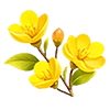 Golden Hornet Crabapple