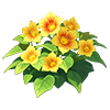 Golden Yellow Hollyhock