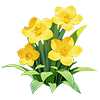 Yellow Fragrant Freesia
