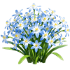Azure Glory-of-the-Snow