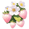 Blushberry