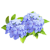 Indigo Plumbago