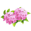 Light Pink Plumbago