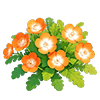 Amber Nemophila