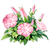 Soft Pink Petunia