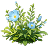 Blue Evening Primrose