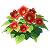Red Hollyhock