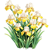 Yellow Bearded Iris