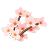 Soft Pink Weeping Cherry