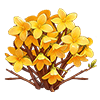 Golden Bell Forsythia