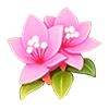 Pink Rhododendron