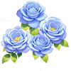 Blue Celebration Rose