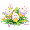White Bunnycotton