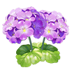 Violet Fragrance